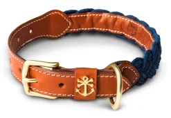 Kiel James Patrick Hortock'S Compass Rose Dog Collar^ Leashes & Collars