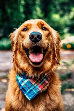 Kiel James Patrick Montauk Patchwork Madras Bandana^ Adventure Bandanas