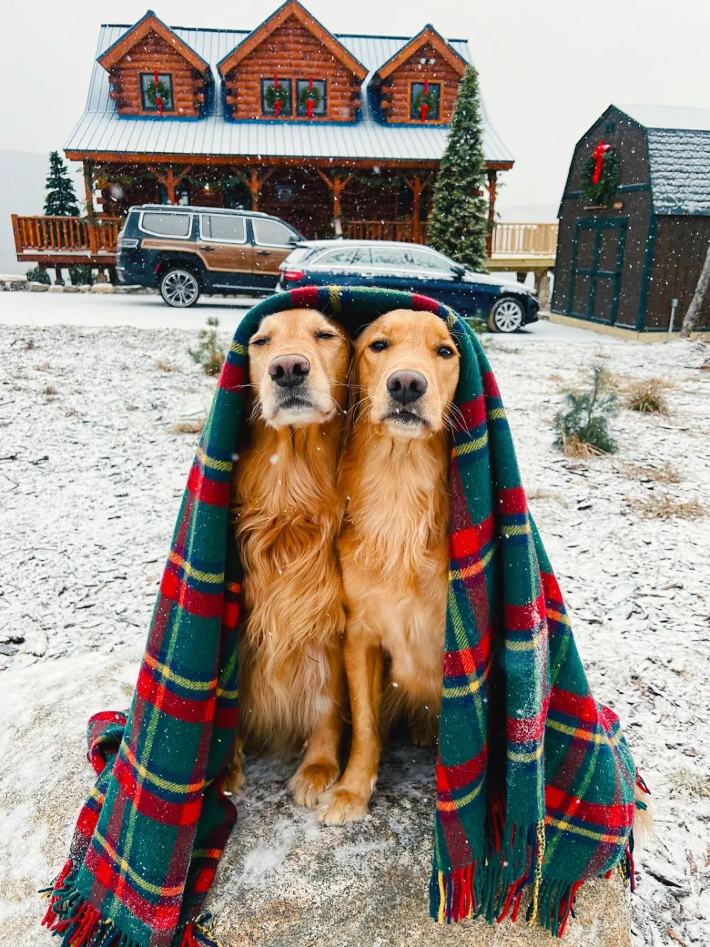 Kiel James Patrick The Manchester Tartan Blanket^ Blankets