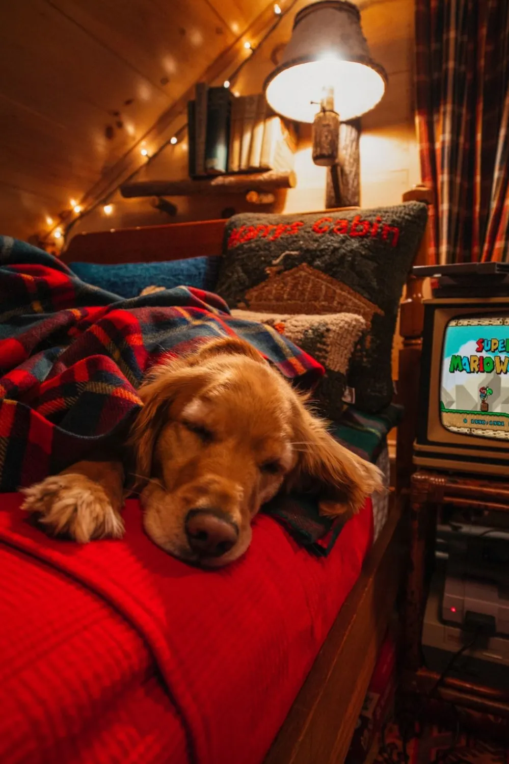 Kiel James Patrick The Manchester Tartan Blanket^ Blankets