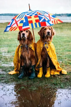 Kiel James Patrick The Maritime Umbrella^ Umbrellas