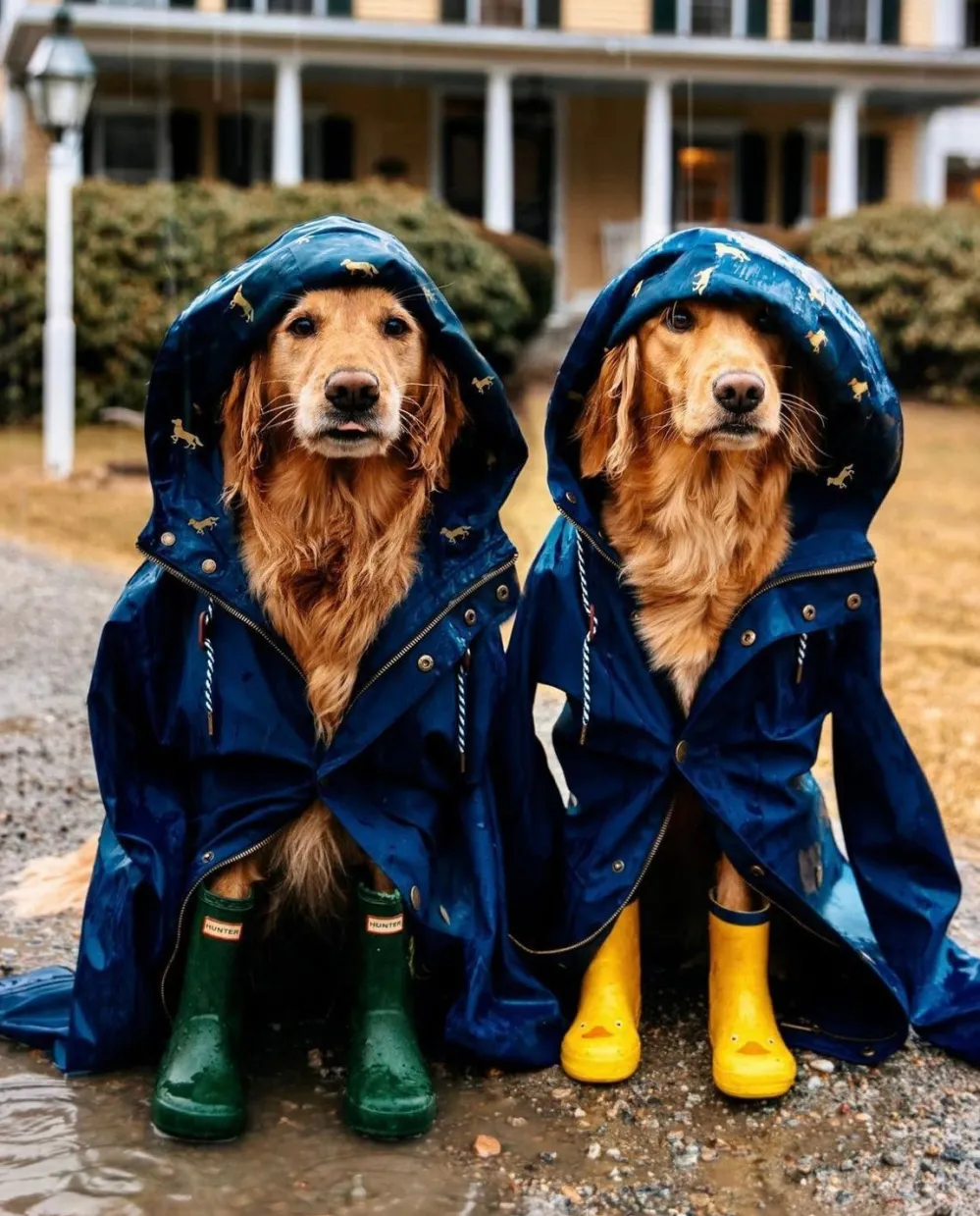 Kiel James Patrick The Old Salt Navy Raincoat- Women'S^Women Outerwear